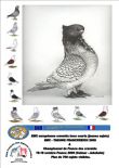 consultez les photos de Jebsheim 2009